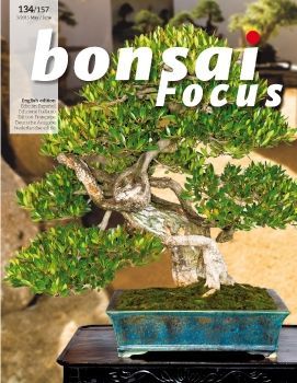 Tạp chí Bonsai Focus 2015Q3