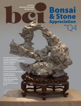 Tạp chí bonsai BCI 2015Q4