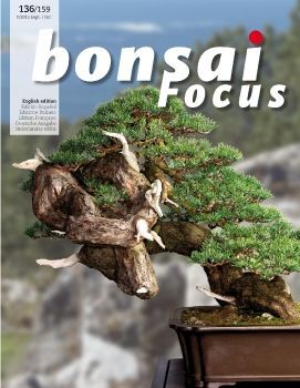 Tạp chí Bonsai Focus 2015Q5
