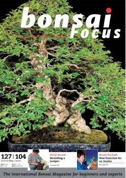 Tạp chí Bonsai Focus 2010Q3