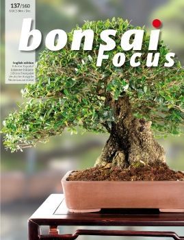 Tạp chí Bonsai Focus 2015Q6