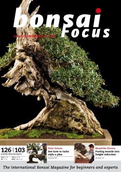 Tạp chí Bonsai Focus