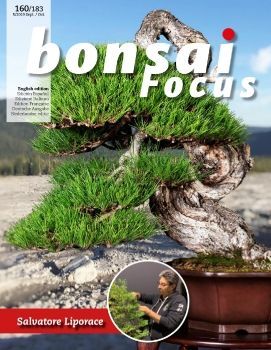 Tạp chí Bonsai Focus 2019Q5