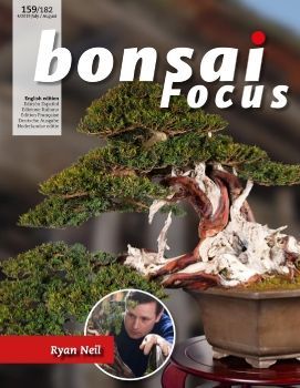 Tạp chí Bonsai Focus 2019Q4
