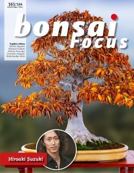 Tạp chí Bonsai Focus 2019Q6