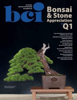 Tạp chí bonsai BCI 2017Q1