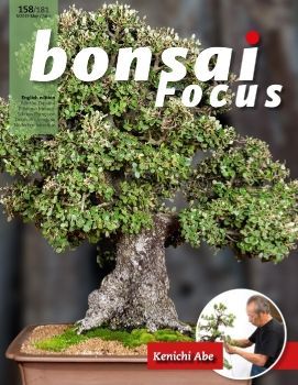 Tạp chí Bonsai Focus 2019Q3