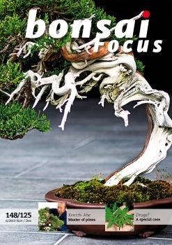 Tạp chí Bonsai Focus 2013Q6
