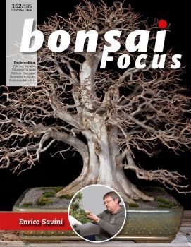 Tạp chí Bonsai Focus 2020Q1