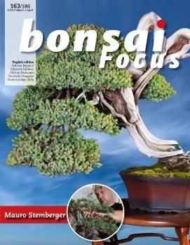 Tạp chí Bonsai Focus 2020Q2