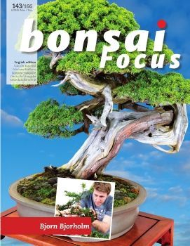 Tạp chí Bonsai Focus 2016Q6