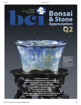 Tạp chí bonsai BCI 2020Q2