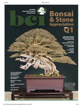 Tạp chí bonsai BCI 2020Q1