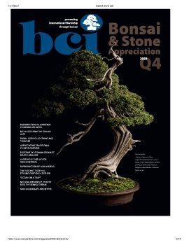 Tạp chí bonsai BCI 2020Q4
