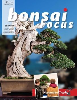 Tạp chí Bonsai Focus 2018Q3