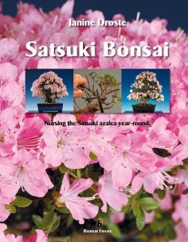 Đỗ Quyên Bonsai