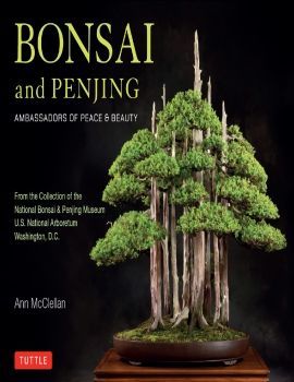 Bonsai Penjing