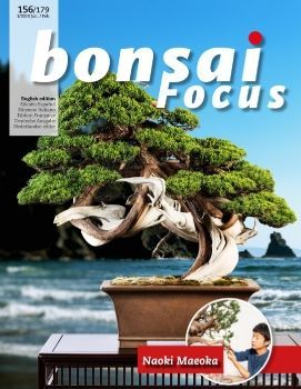 Tạp chí Bonsai Focus 2019Q1