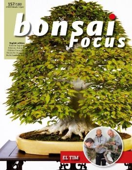 Tạp chí Bonsai Focus 2019Q2