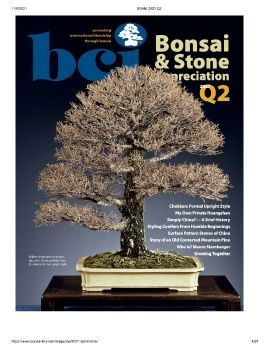 Tạp chí bonsai BCI 2021Q2
